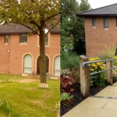 Before: Paved ramp down – No handrail to the building with poor planting and low standards of maintenance evident. After: Ramp relaid with handrail, textured slabs and the Hospice mix of shrubs and perennials