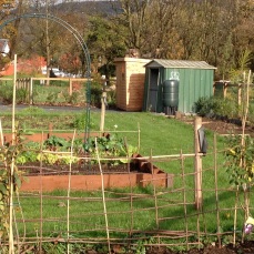 A single cottage has been retained and improved with allotments added to an enhanced cottage garden.